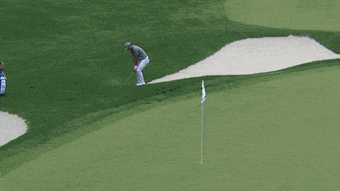 Giphy - Chip In Pga Tour GIF by Travelers Championship