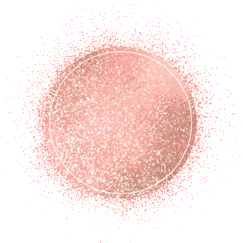 Dassault Systèmes Sticker