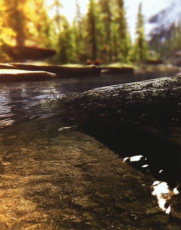 fall river GIF