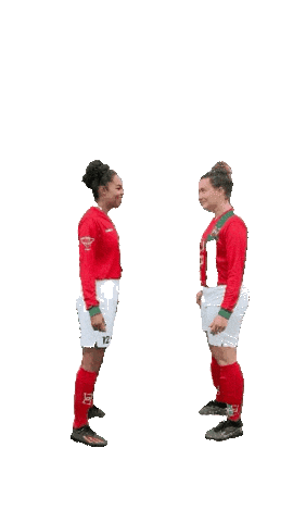 Haarlem Sticker by DSS Voetbal