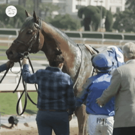 Winner Love GIF by World Horse Racing