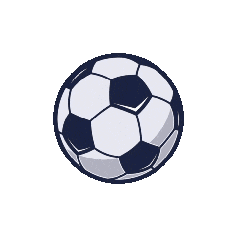 World Cup Soccer Sticker by DANA Senioreneinrichtungen