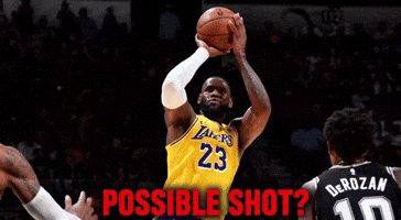 Lebron James GIF