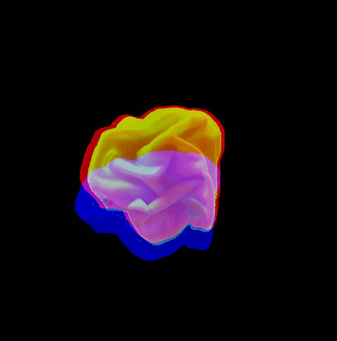 Brain GIF