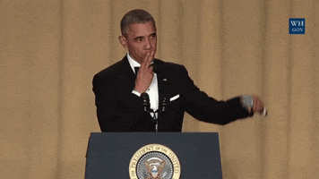 descriptive essay about president obama descriptive essay about president obama