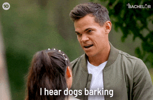 Barking Who Let The Dogs Out GIF by The Bachelor Australia