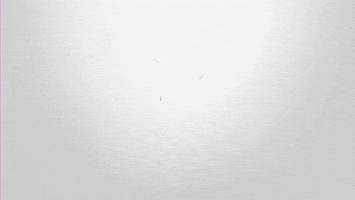 UIDESIGN GIF