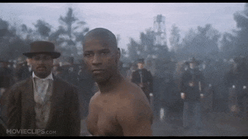 Civil Contempt GIFs - Find & Share on GIPHY