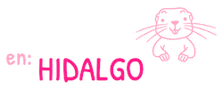 Beauty Hidalgo Sticker by Studio S Salón