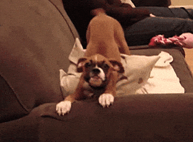 200.gif?cid=f0bdee708hpbhowqhve2yh3wmawfrm9e108eid12lkgjtmvg&rid=200.gif&ct=g