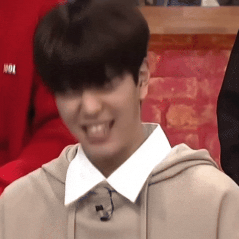Skz Straykids GIF