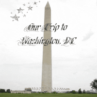 washington dc