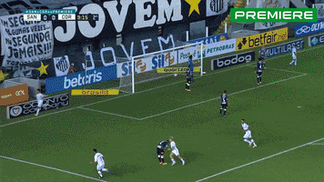 Serie A Santos GIF by Canal Premiere