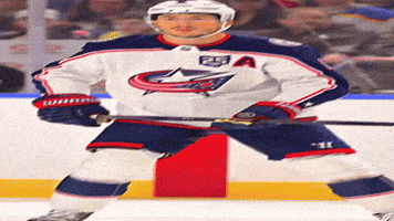 Columbus Blue Jackets Nhl GIF