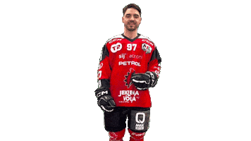 Sport Celebration Sticker by HDD SIJ Acroni Jesenice