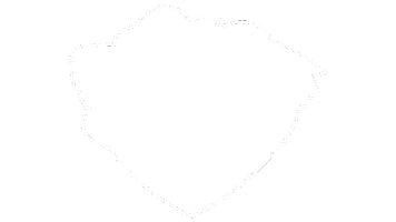 Wustl Sticker by WashU