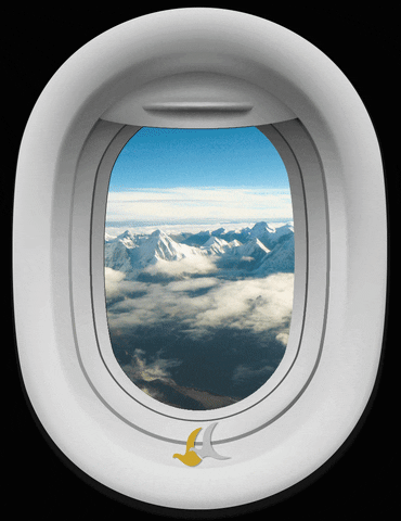 BuddhaAir flying mountain flight everest GIF