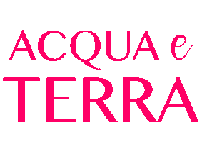 Germany Pink Sticker by acquaeterra