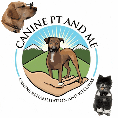 Dog Pt GIF