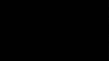 Tarija GIF