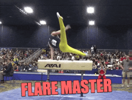 Gymnastics GIF