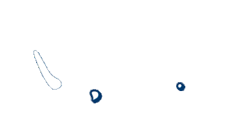 Sticker by Peak Automotiva