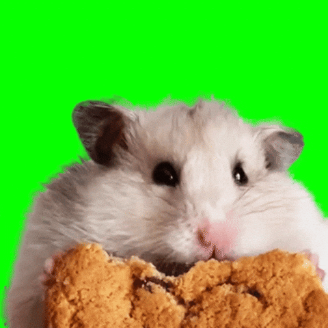 Green Screen Eating GIF
