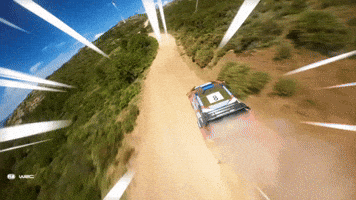 Fast Car Speed GIF by FIA World Rally Championship