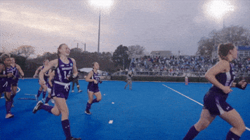 Field Hockey Wildcats GIF by Northwestern Athletics