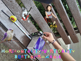 Horizontality-Verticality GIF