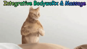 Tabby Cat Massage GIF
