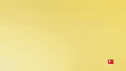 Borussia Dortmund Yes GIF by Bundesliga - Find & Share on GIPHY