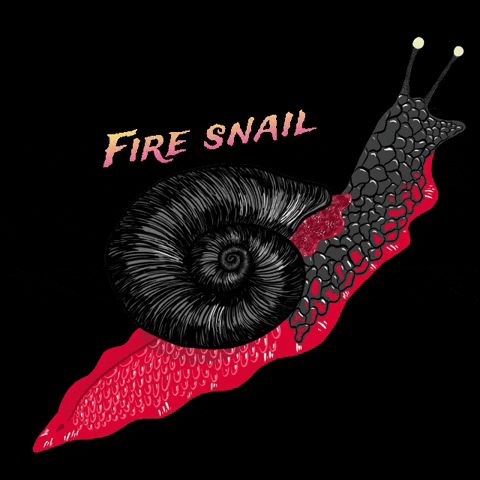 Snail GIF