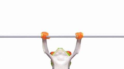 gif used in post