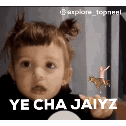 Kashmir GIF