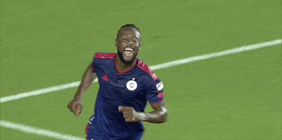 Happy Chicago Fire GIF by Major League Soccer