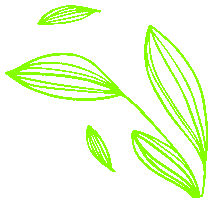 Sticker by Ana Lustosa