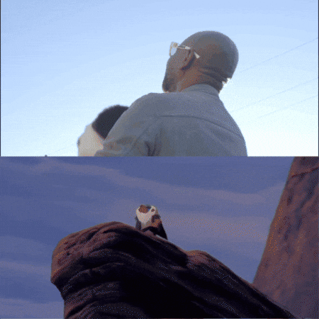 Lion King Dog GIF by Dr. U Hair and Skin Clinic