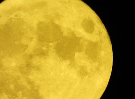 Blue Moon GIF by Storyful