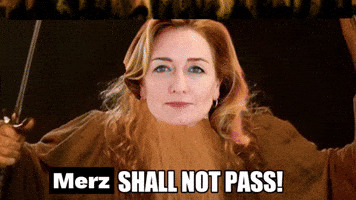 Dielinke GIF by DIE LINKE. Sachsen