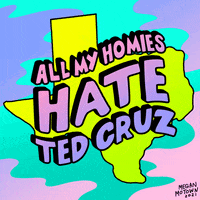 Ted Cruz Politics GIF by megan motown