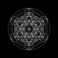 Gif Art Looking Around GIF by xponentialdesign