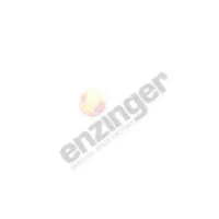 Elektro_Enzinger GIF