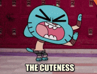 Cuteness-overload GIFs - Get the best GIF on GIPHY Cuteness-overload GIFs - Get the best GIF on GIPHY