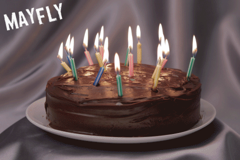 Ideas About Gif Birthday Cake