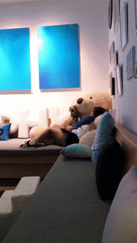 by BECKY'S INCREDIBLE GIF COLLECTION