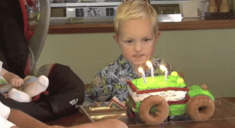 Birthday-smash GIFs - Get the best GIF on GIPHY