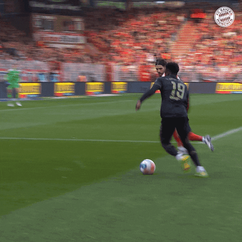 Sport Soccer GIF by FC Bayern Munich - Find & Share on GIPHY