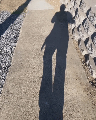 Sun Walking GIF