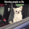 Morning Person GIF